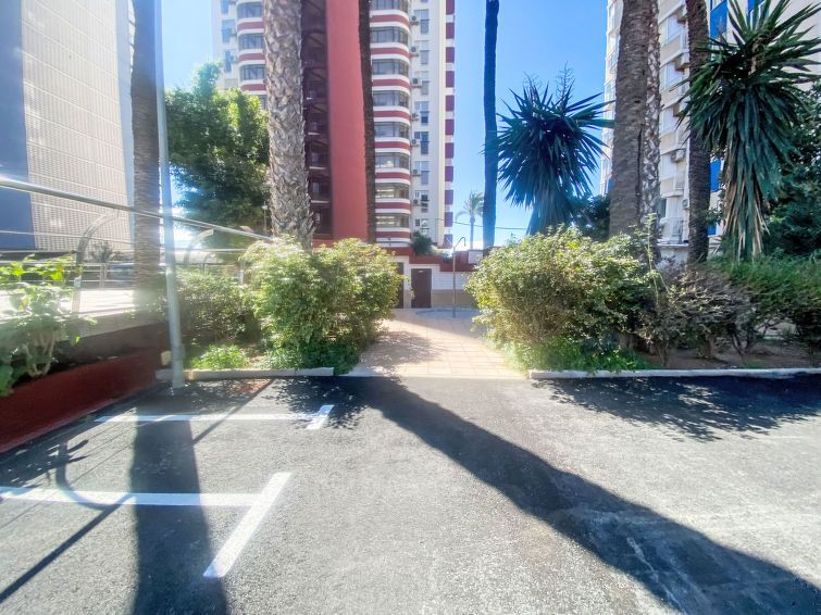 Las Damas Apartment 2 photo 27