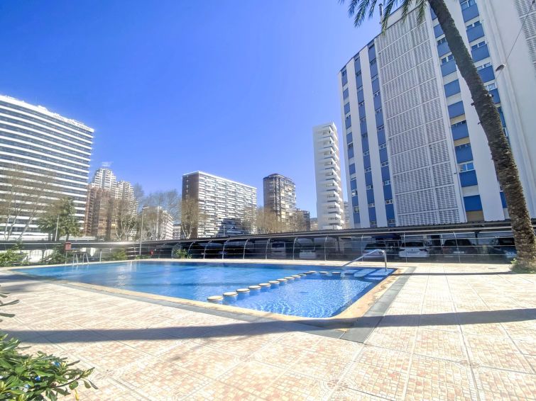 Las Damas Apartment 2 photo 15