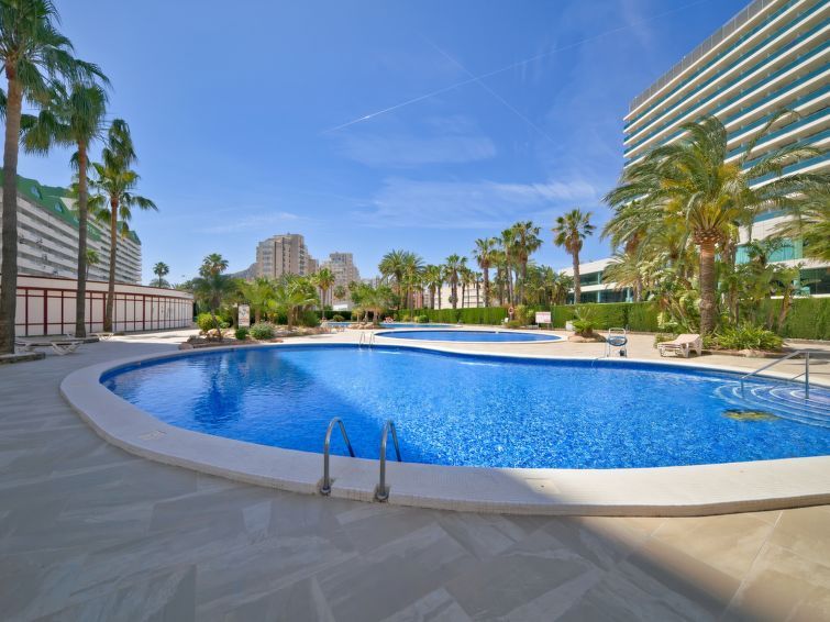 Coral Beach Apartment 6 photo 37