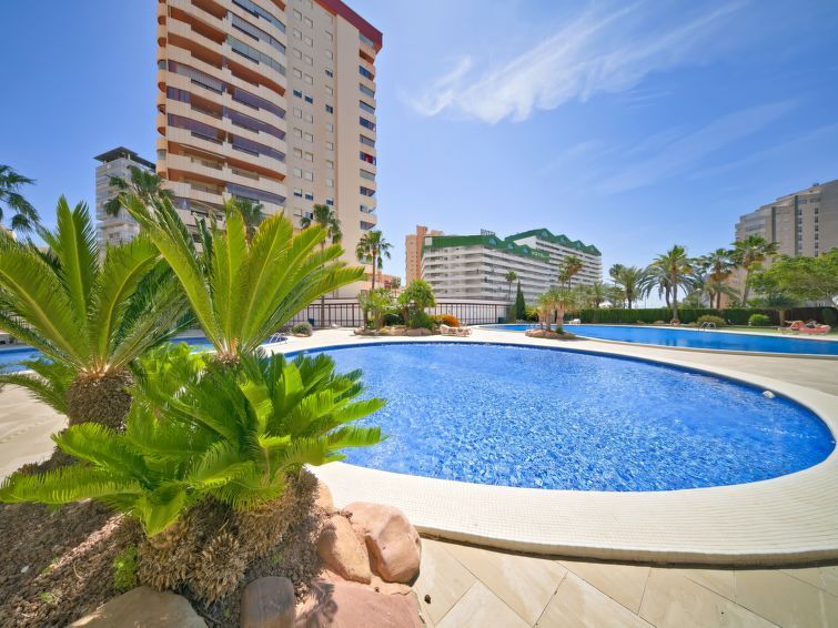 Coral Beach Apartment 6 photo 41