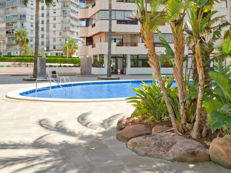 Coral Beach Apartment 6 photo 42