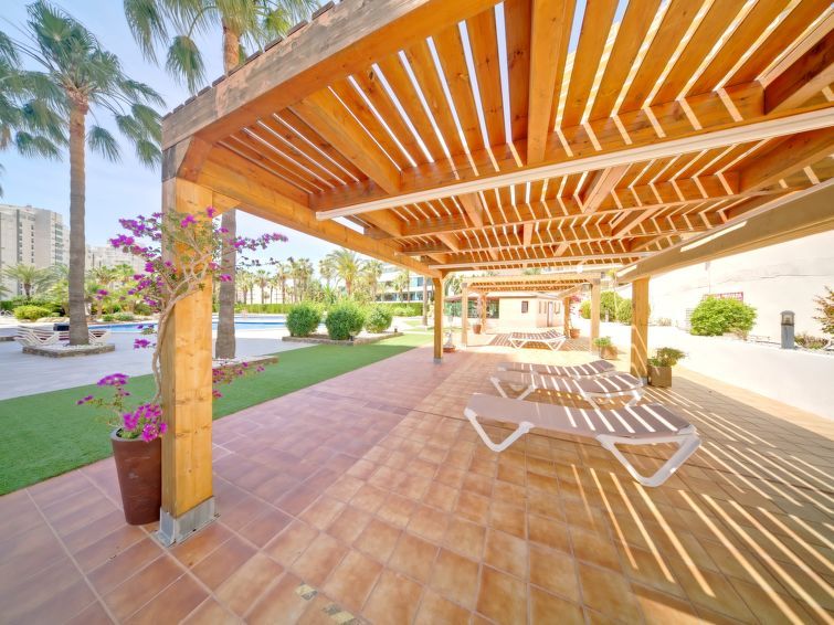 Coral Beach Apartment 6 photo 43