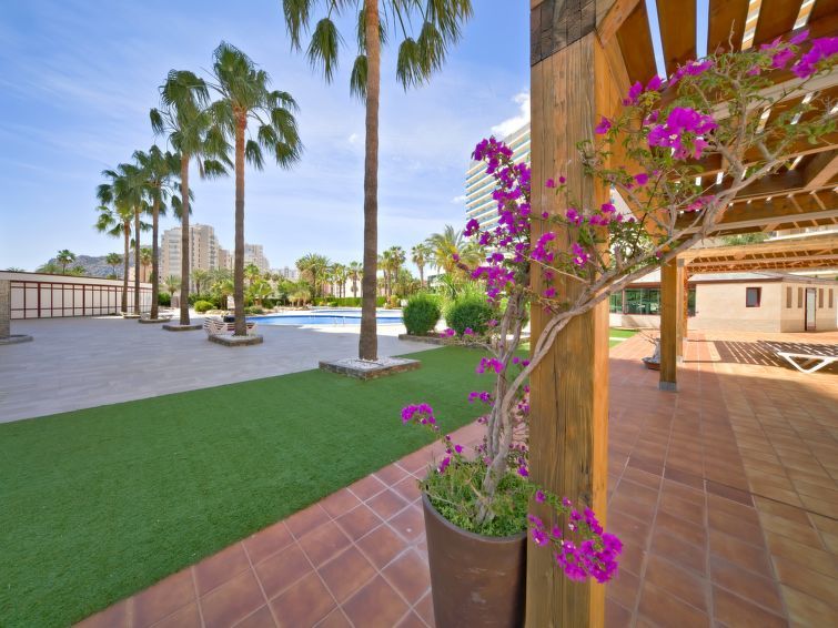 Coral Beach Apartment 6 photo 44