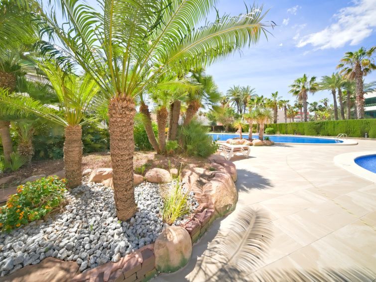 Coral Beach Apartment 6 photo 26