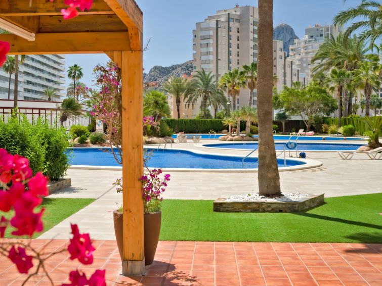 Coral Beach Apartment 6 photo 29