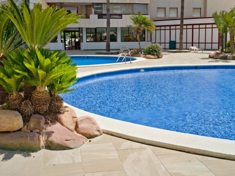 Coral Beach Apartment 6 photo 27