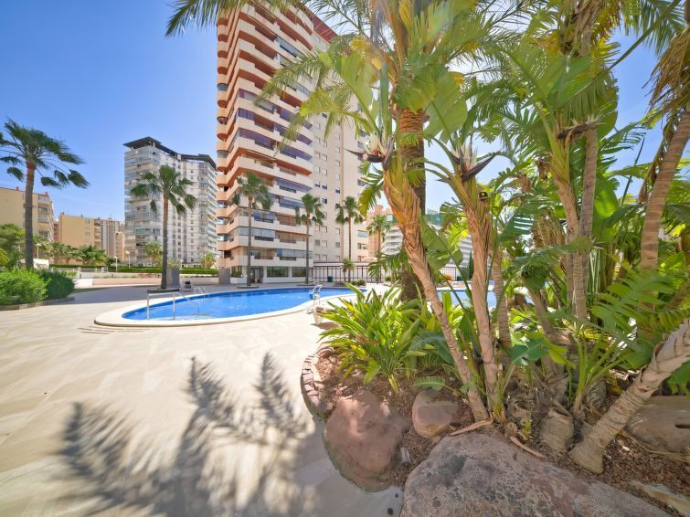 Coral Beach Apartment 6 photo 32
