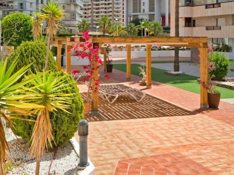 Coral Beach Apartment 6 photo 34