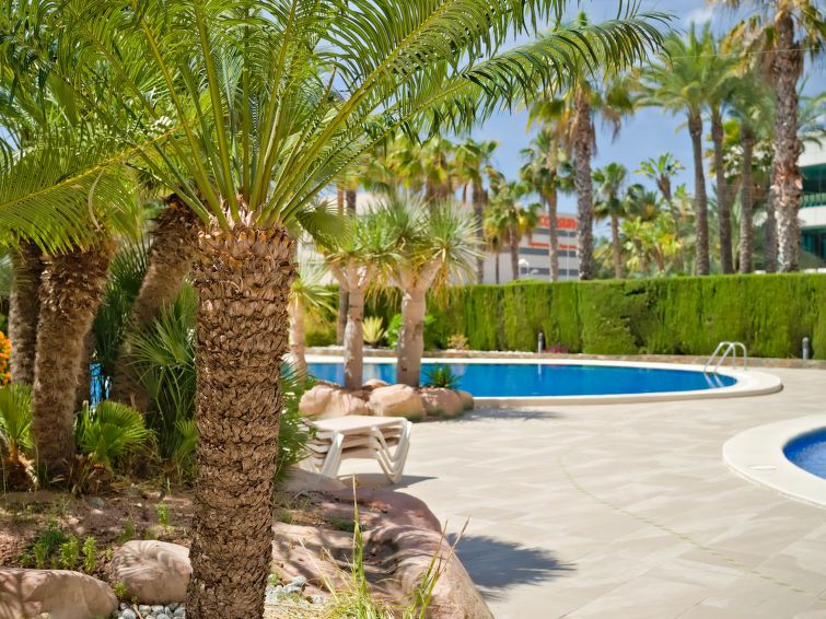 Coral Beach Apartment 6 photo 35