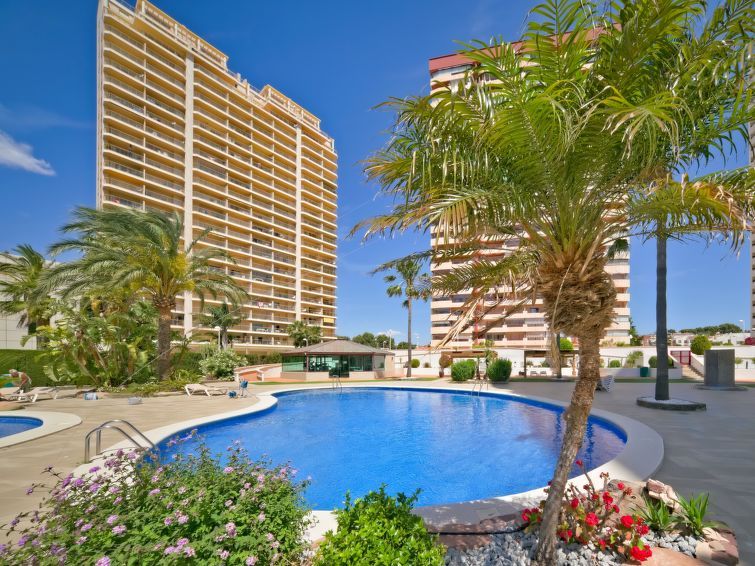 Coral Beach Apartment 6 photo 48