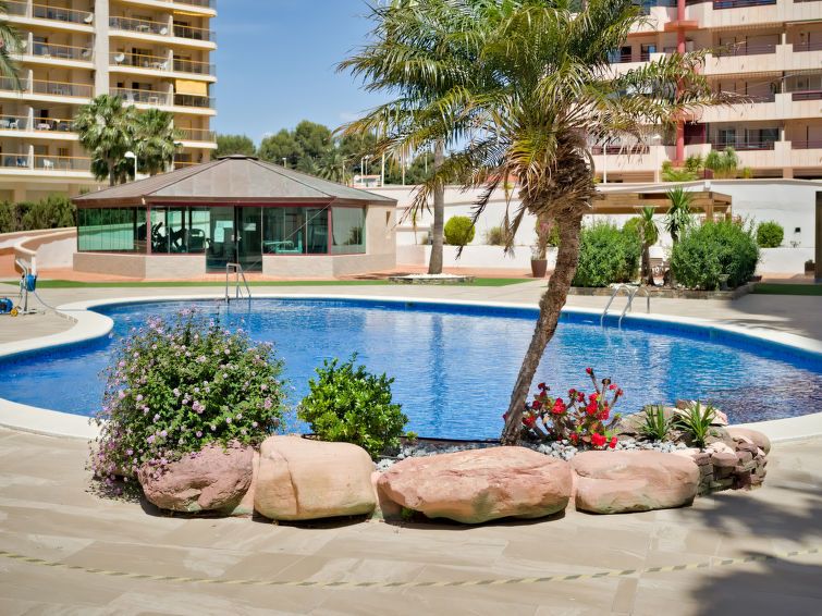 Coral Beach Apartment 6 photo 45