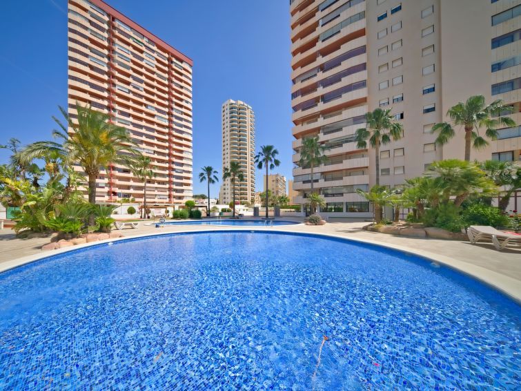 Coral Beach Apartment 6 photo 46