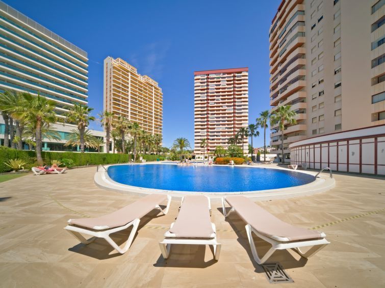 Coral Beach Apartment 6 photo 22
