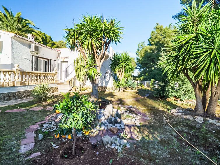 El Palmeral photo 43