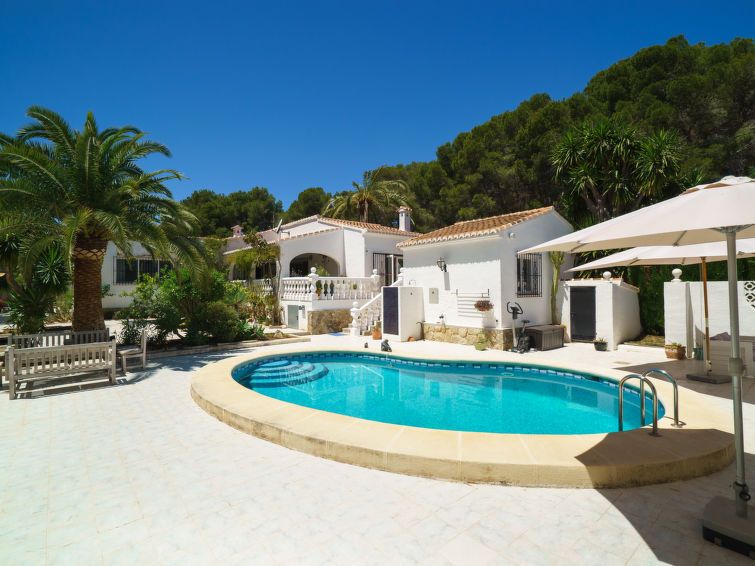 El Palmeral photo 38