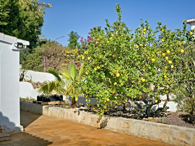 Casa Carma photo 45