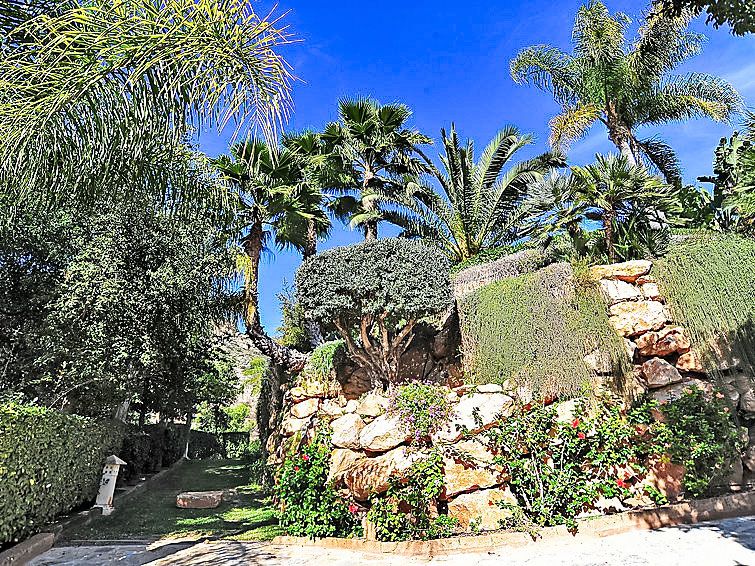 Aviles photo 23