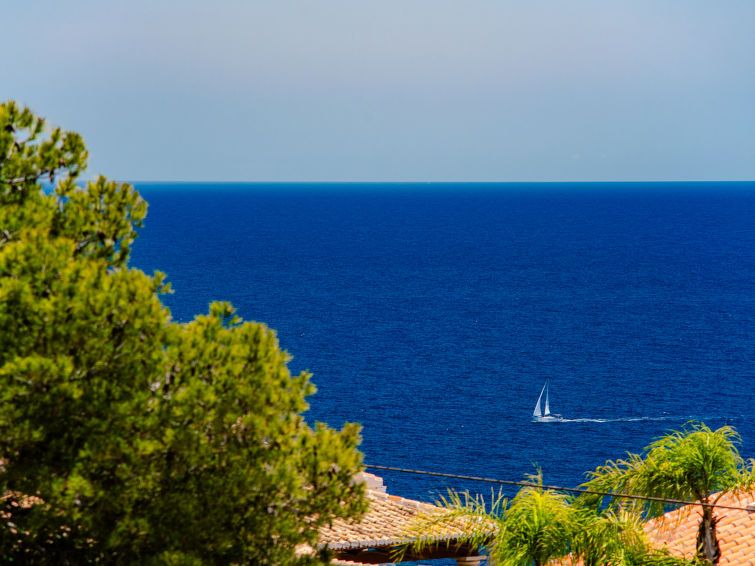 Amazing Views photo 69