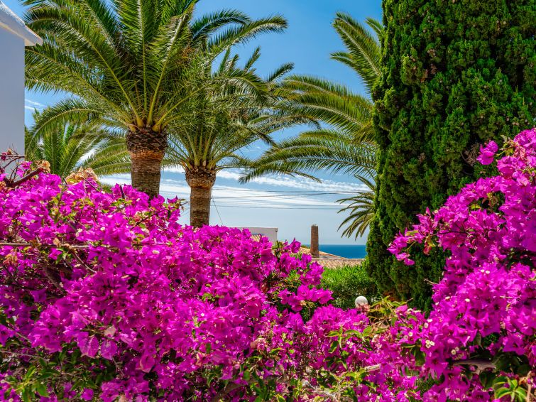Amazing Views photo 71