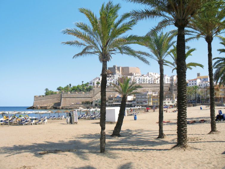 Finca Villa Roig photo 34