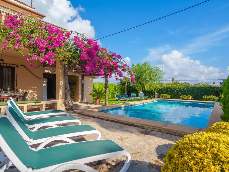 La Truyola Pool Finca photo 33