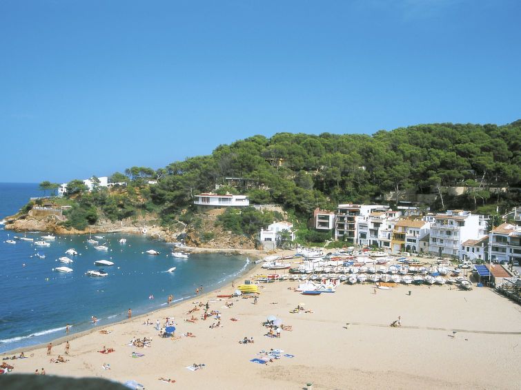 Jandalo Berria photo 45
