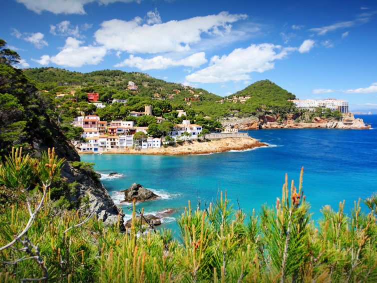 Sa Riera Beach photo 20