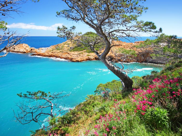 Sa Riera Beach photo 21