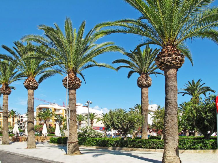 Jardines photo 38