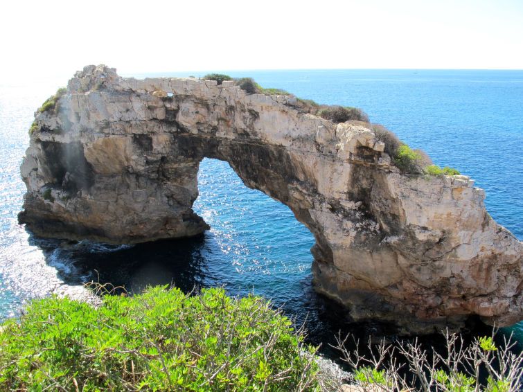 Cordella photo 32