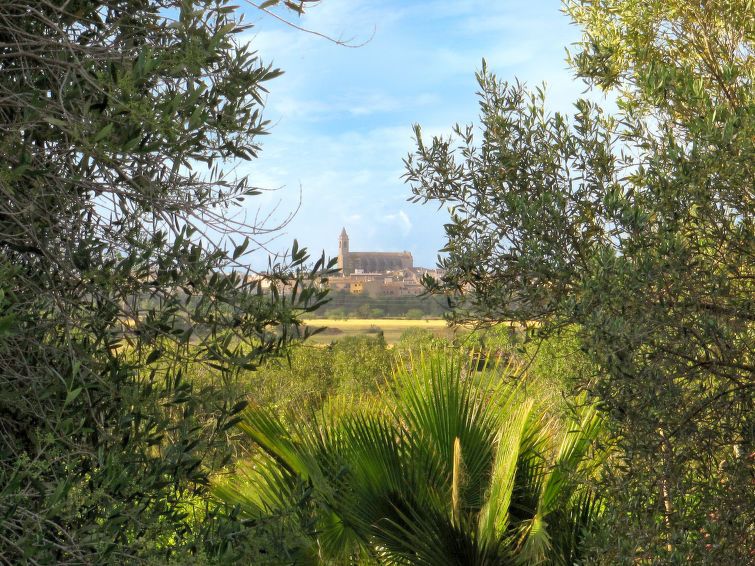 Cordella photo 31