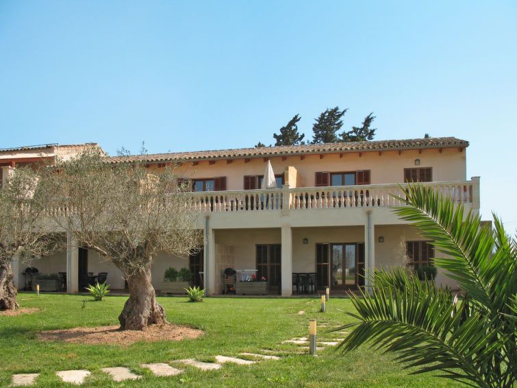 Finca Can Corritx photo 24