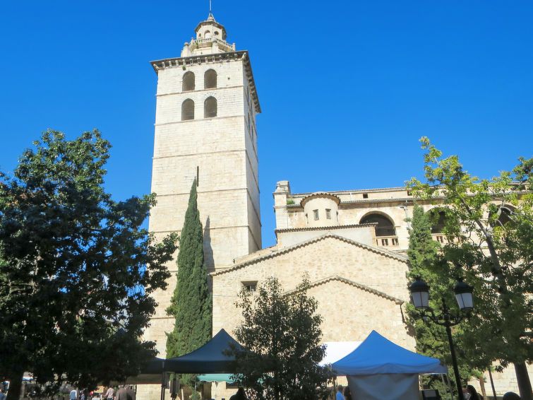 Son Catlar photo 34