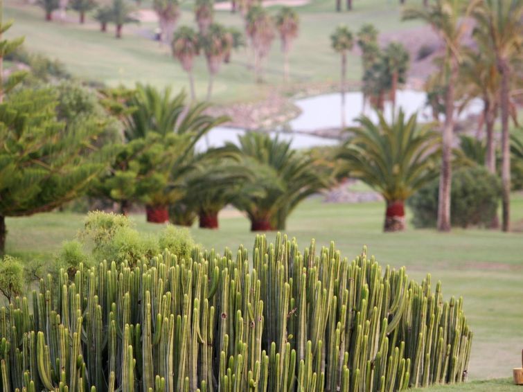 Tipo Nº6 photo 25
