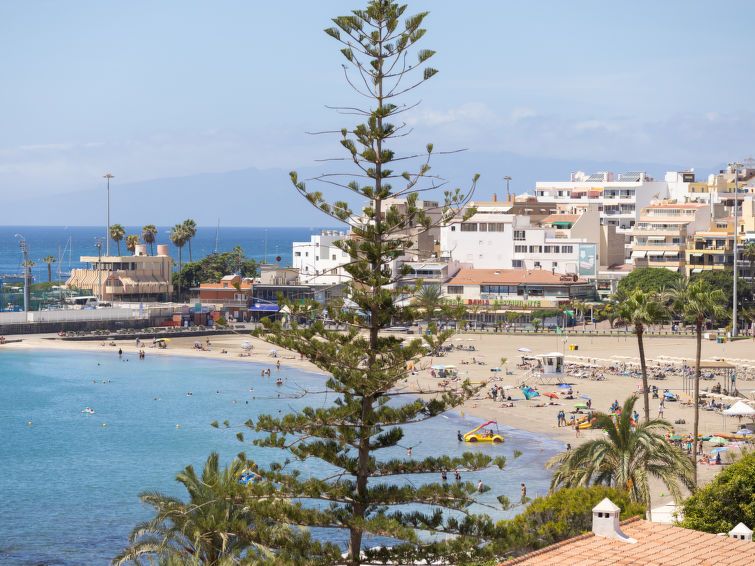 El Carmen photo 20