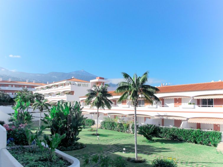 Laurisilva photo 19