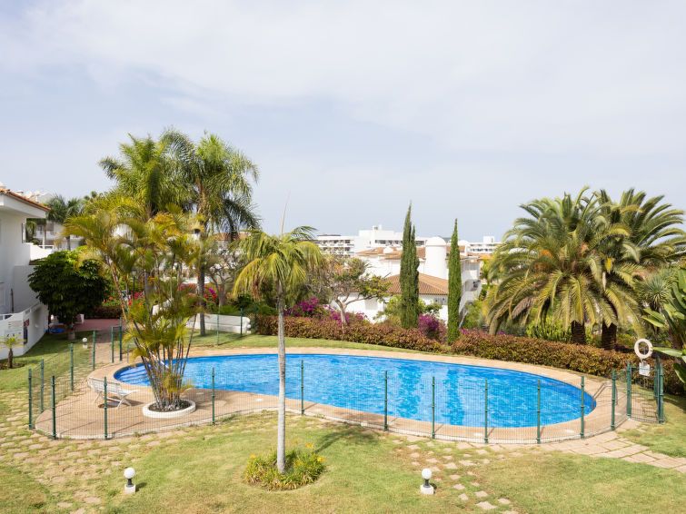 Laurisilva photo 26
