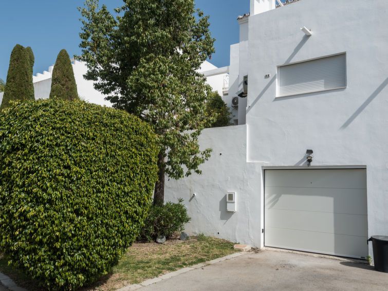 La Palmera photo 29