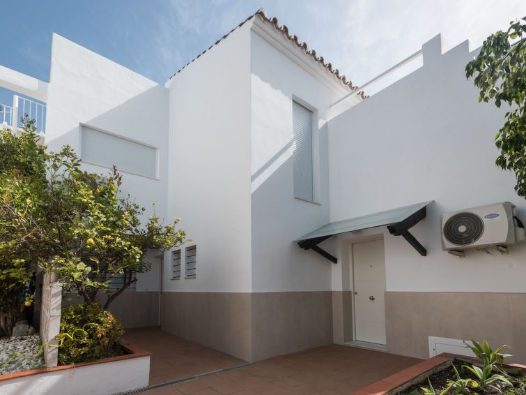 La Palmera photo 25