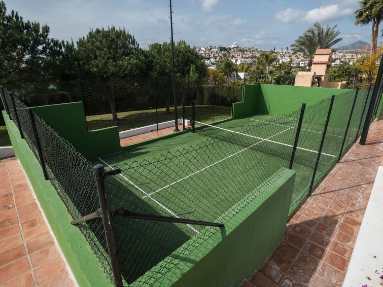 La Palmera photo 31