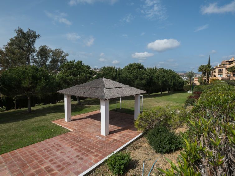 La Palmera photo 27