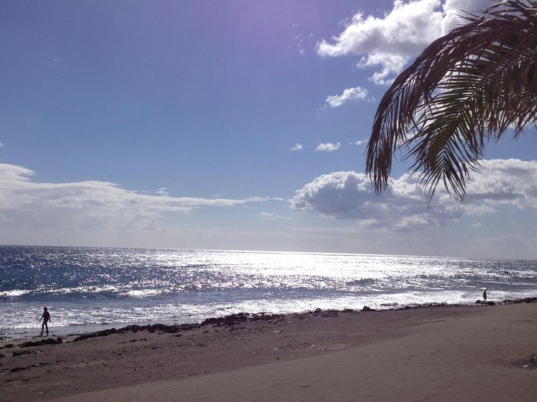 Papagayo San Agustin photo 29