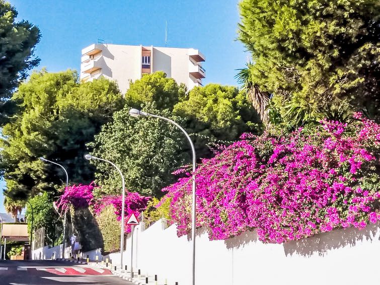 Duquesa de España photo 23