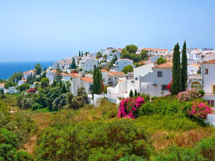 Las Brisas photo 43