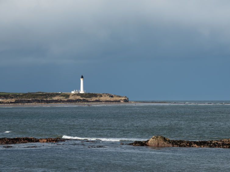 Viewpoint photo 77