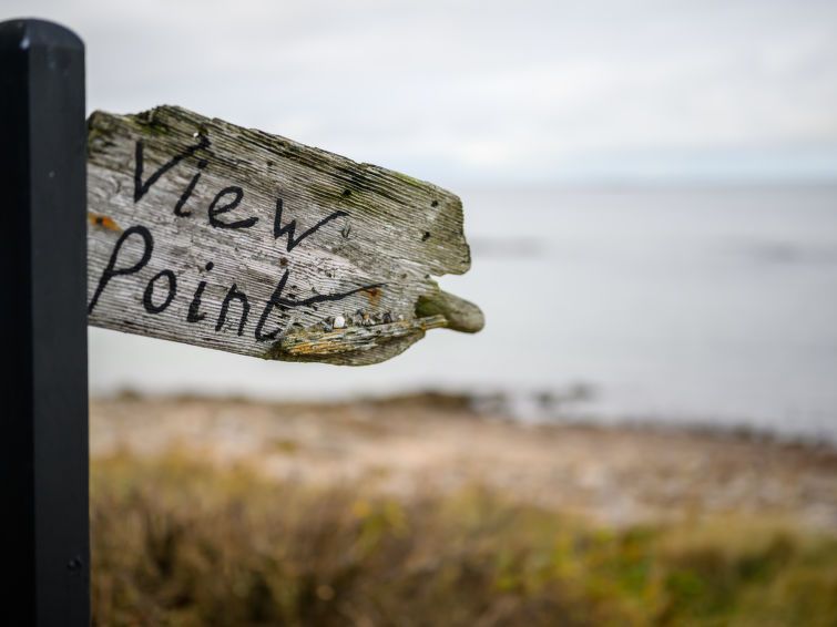 Viewpoint photo 34