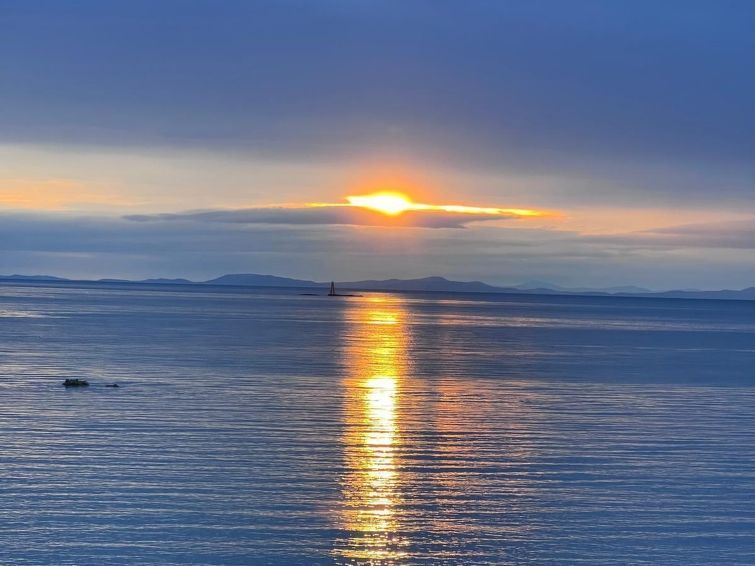 Viewpoint photo 61