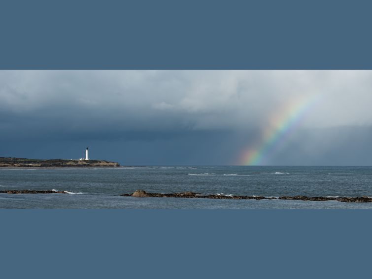 Harbour Nights Deluxe 7C photo 19