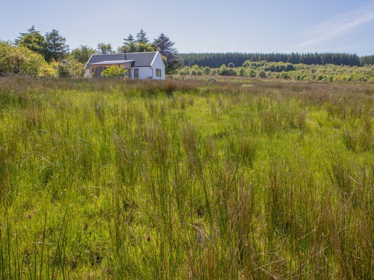 Finnan's Byre photo 35