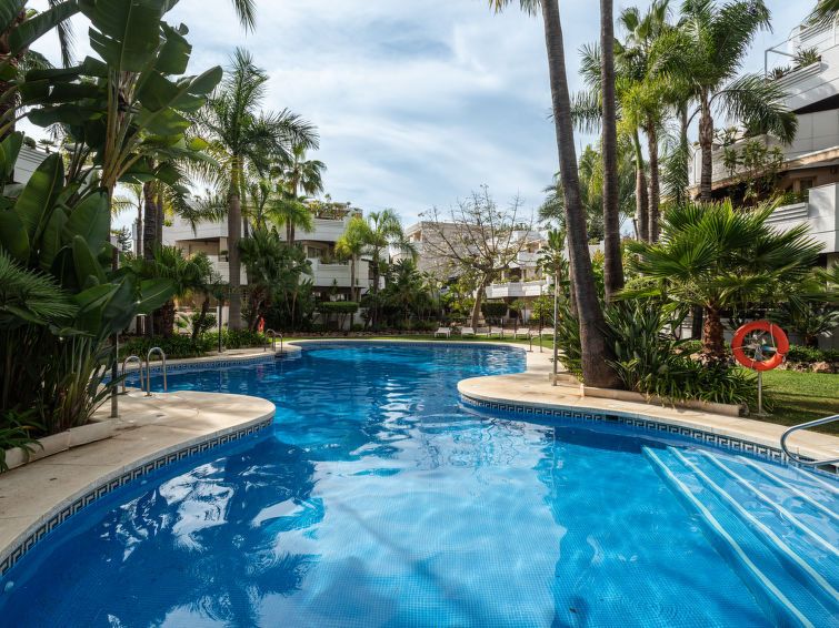 Fuente Aloha photo 31